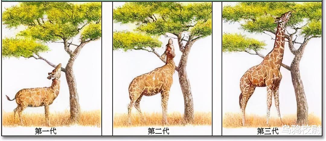 科学探索奖|为中国科研献身者，不可使其受困于房价