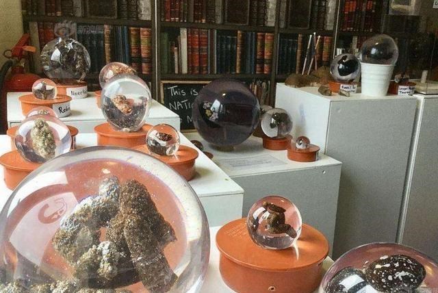 木乃伊|全球最另类博物馆，收藏寄生虫，粪便都不算啥，最后两个太残忍