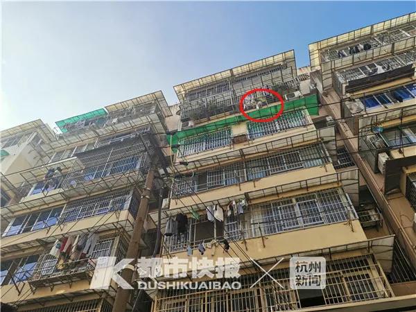 美国|好险！4岁男孩爬出阳台，被保笼卡住，妈妈死死抓着他的胳膊