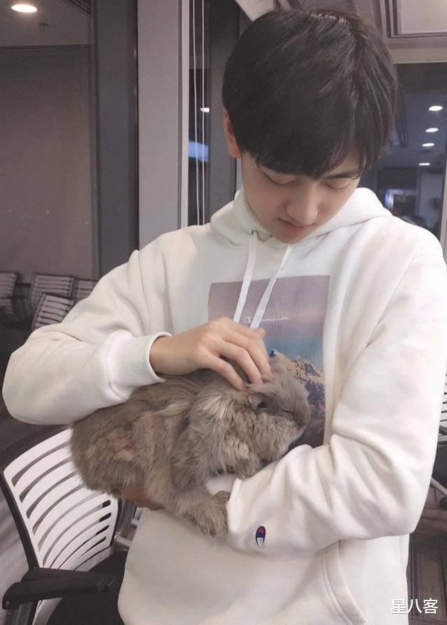 「刘亦菲」杨超越爆料哇唧唧哇工资低，按时发放五险一金的养老公司不多见了