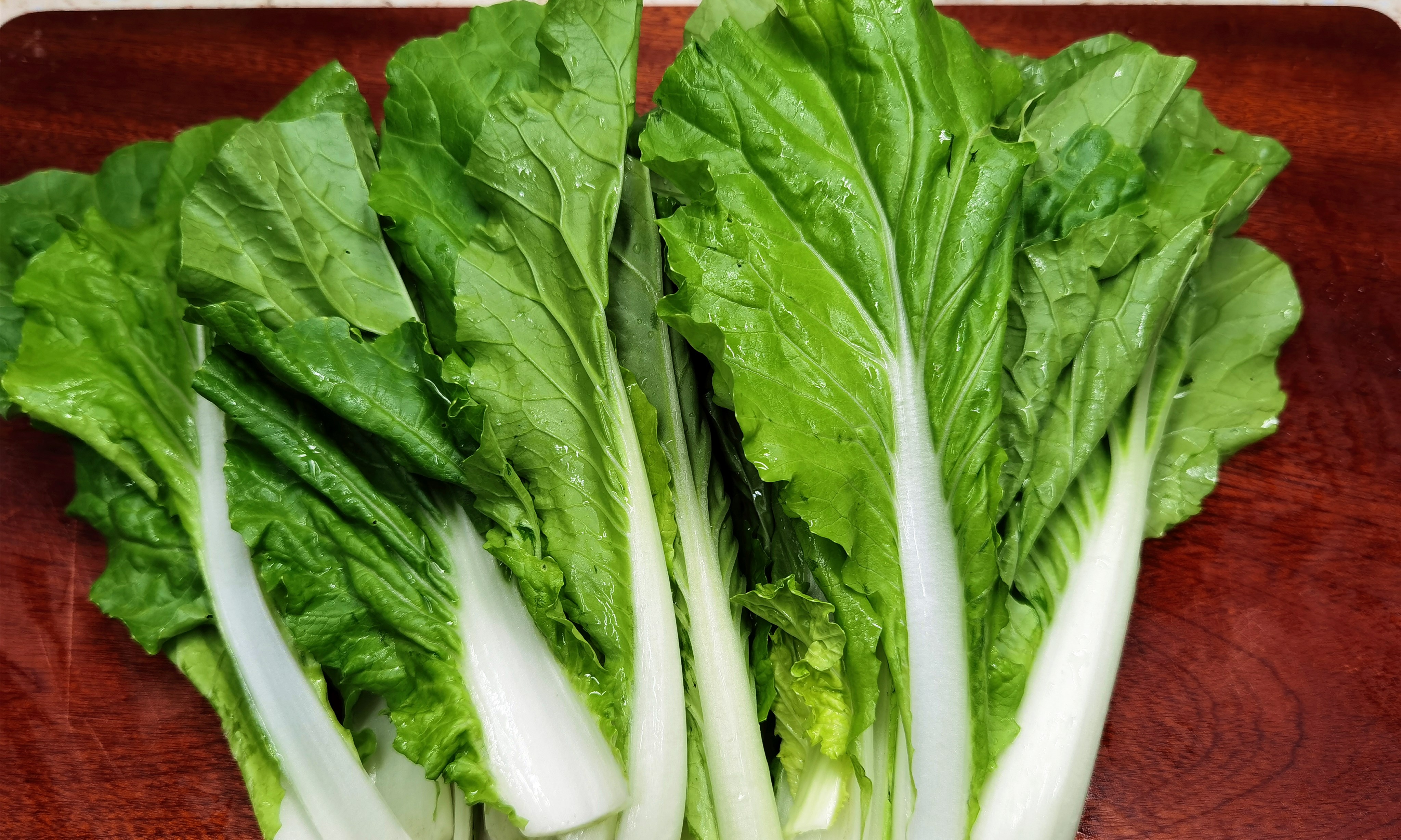 豆腐|秋天，吃萝卜吃红薯，不如吃它，钙含量是白菜2倍，炖豆腐吃真香
