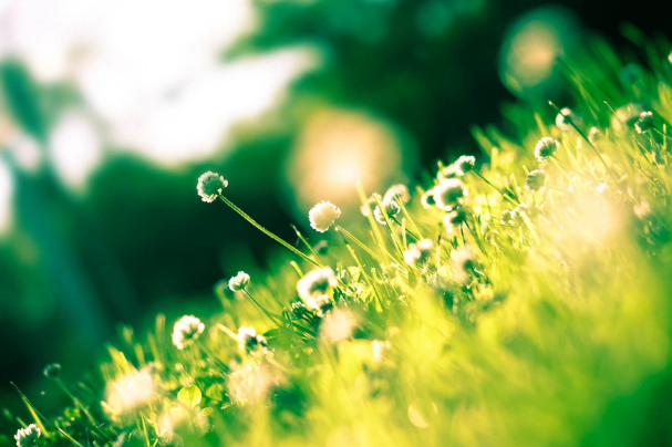 天蝎座|9月下旬好事进门，身边有贵人现身，爱情事业双丰收的4大生肖！