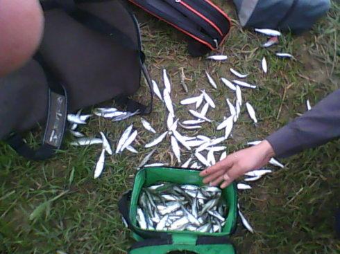 |子线秒切，从操作上来说，这三个原因，绝对称得上是魁魁祸首