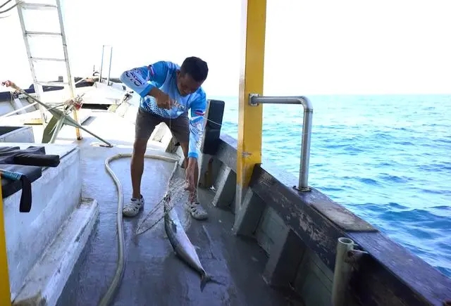 「万州」3天2晚沙巴海钓,吃住全在船上,大鱼接连上钩,过足钓鱼瘾