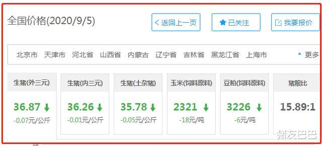 生猪价格|9月5日猪价：2连跌！16省逆转“飘红”，猪价上涨“压不住”？