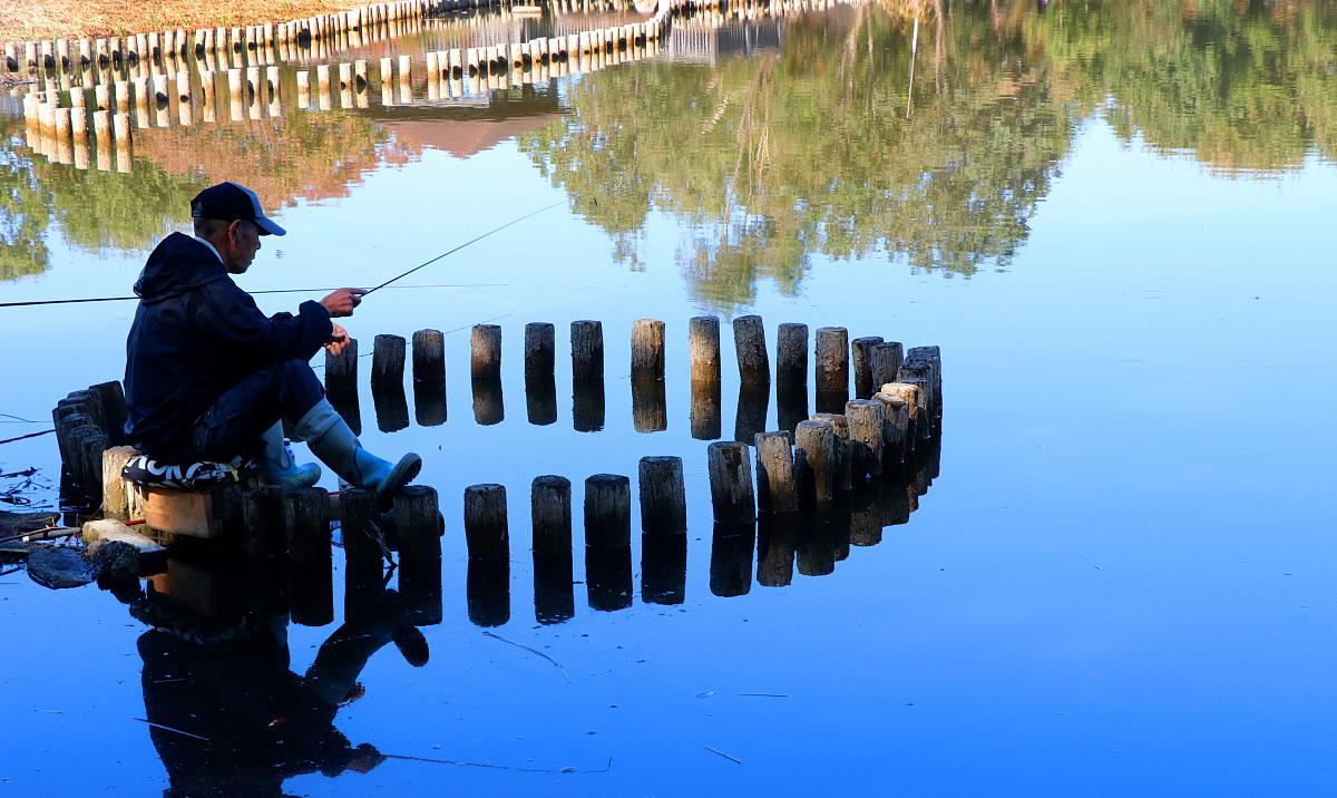 饵料|秋季野钓大鱼，为何不建议老钓位？缺点有4个