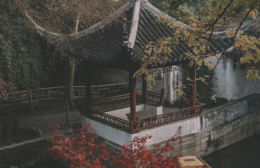 生肖|十月上旬开始，财源不断，名利双收，运势红火的生肖