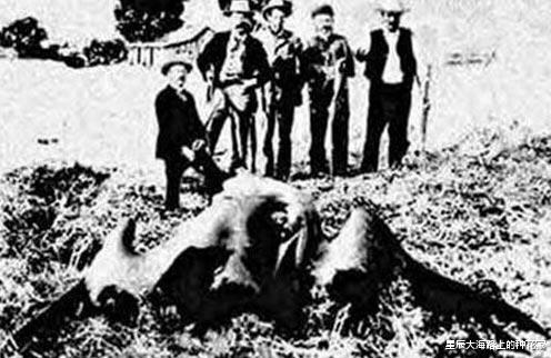 恐龙|恐龙真的消失了吗?1864年与恐龙合影的士兵,毫无PS痕迹!