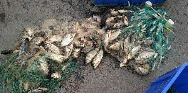 神秘人|为何钓鱼的时候，总有“神秘人”搭讪？有些图谋不轨，需警惕