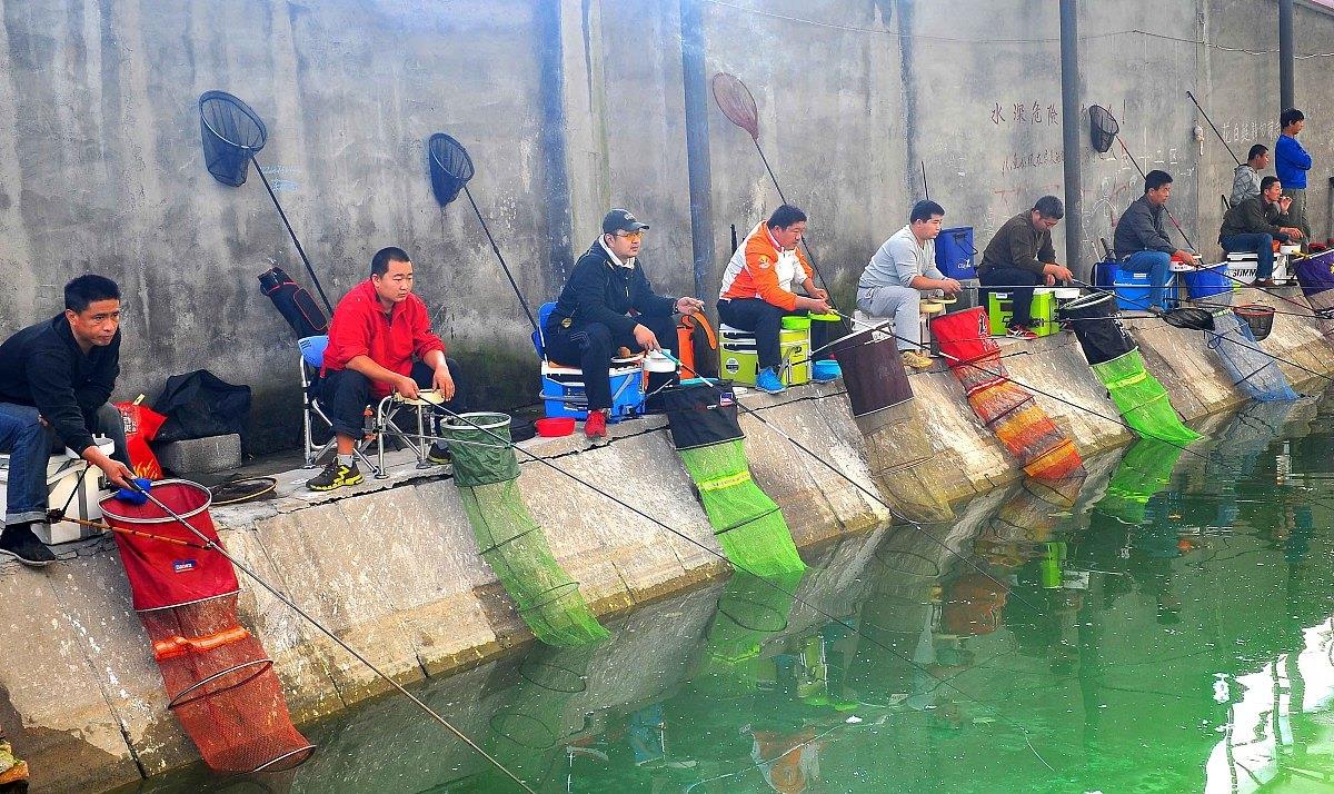 #放生#持证钓鱼即将实施，怎么钓、多少钱才合理？欧美这样规定