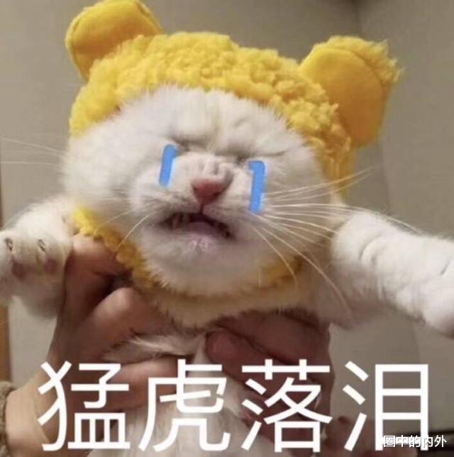 张智尧|男星是不是都逃不过中年发福？心好痛，明明年轻时都这么惊艳