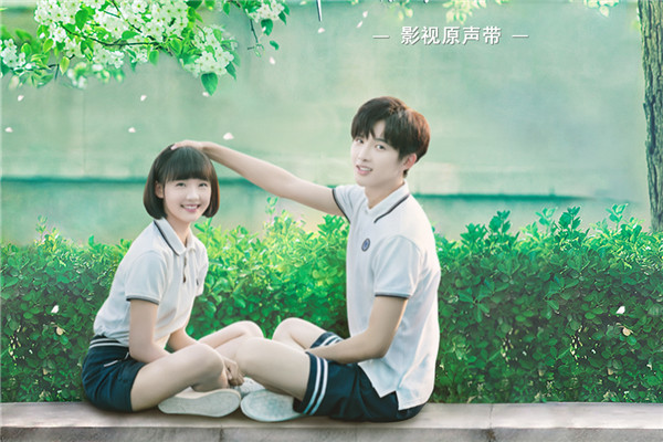 陈瑶|“以为是烂剧，最后却真香了”的5部剧，一部都没看过的大有人在