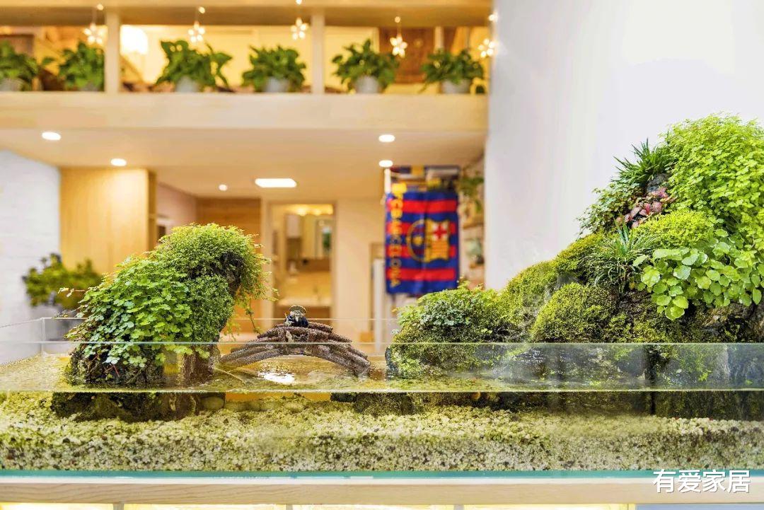 |日本小伙买下的20㎡小LOFT,玄关不同寻常,满屋设计有玄机