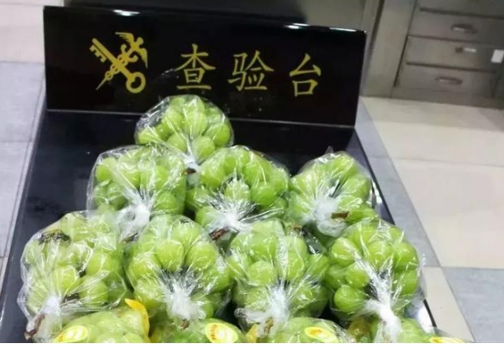 |已有人被抓！去港澳旅游这些东西千万别带！否则没人能帮你