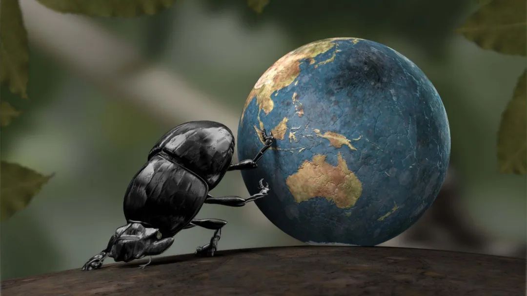 #大白鲨#世界上最强大的5种生物，没想到排第1的那么小！