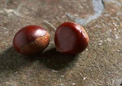 冬瓜|肾阳虚的人会出现8种表现，养护肾脏，牢记：一补，一饮，一护