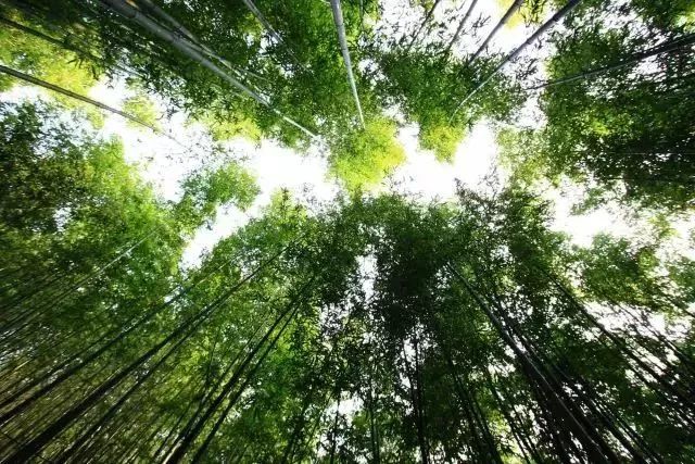 清远▲堪比天空之城！清远这些古村藏在海拔800多米的深山中