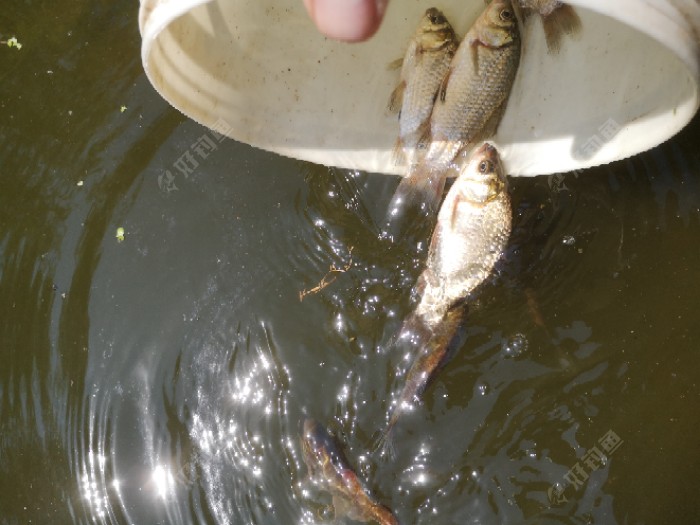 医生|许久末玩，甚是惨淡