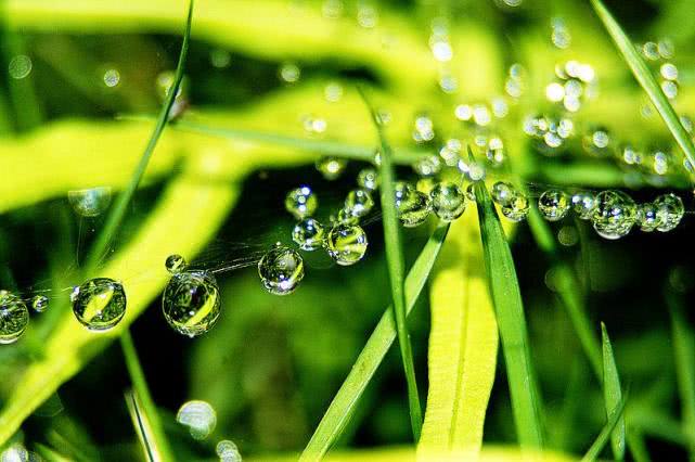 「生肖」端午节前,苦尽甘来,3生肖邂逅贵人,把握机遇财源,红透半边天