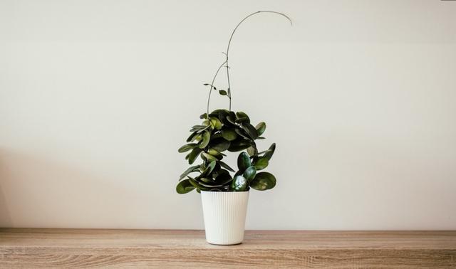 生肖|9月起,财神爷降临,贵人扶持,努力有好事到,幸福美满的生肖