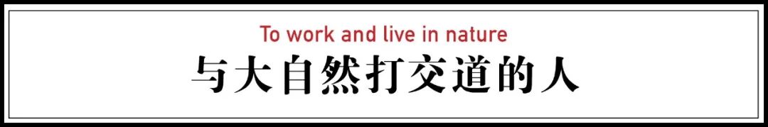 水果|一年花50万吃水果的男生：穷的时候饭都吃不起