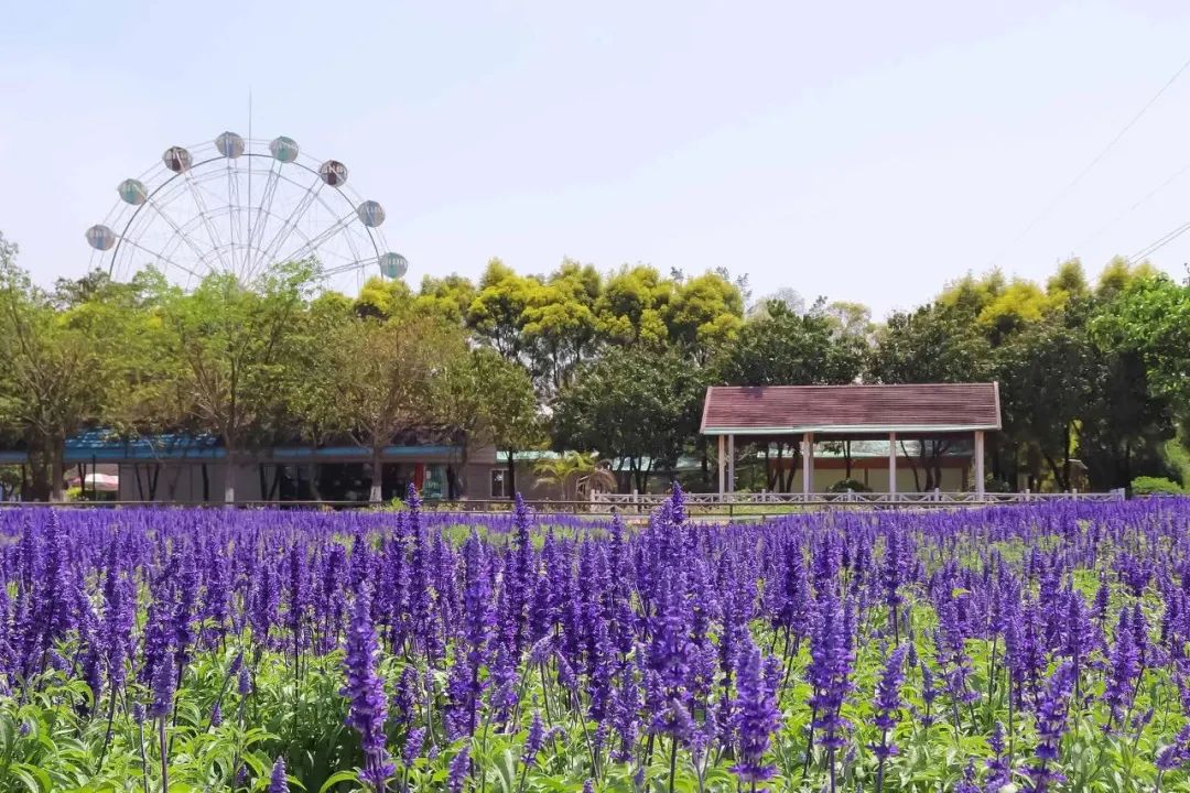 花都|花都，起飞！