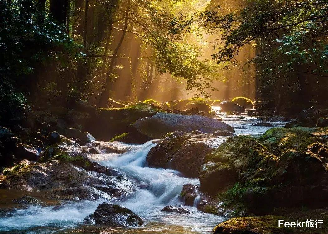 齐云山|江浙沪3h度假圈又有新选择!看萤火虫拍故宫同款大片,来这里