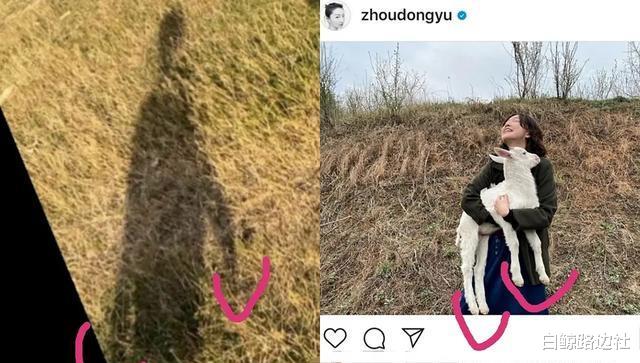 周冬雨▲周冬雨开挂了：深夜搂抱甜蜜师生恋曝光，与章子怡交好强强联盟