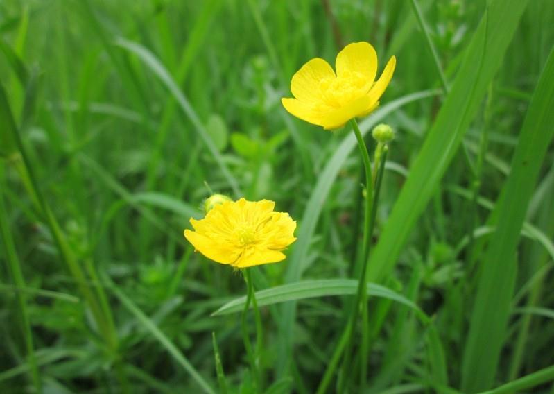 生肖|10月开始，四生肖财运笼罩，财神上门，运势一路飙涨