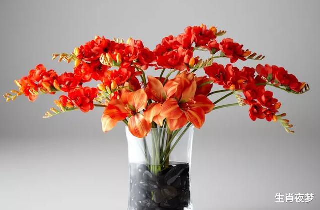 生肖|9月，难忘旧爱，再续前缘，3星座甜蜜恋爱，再次开启幸福之门