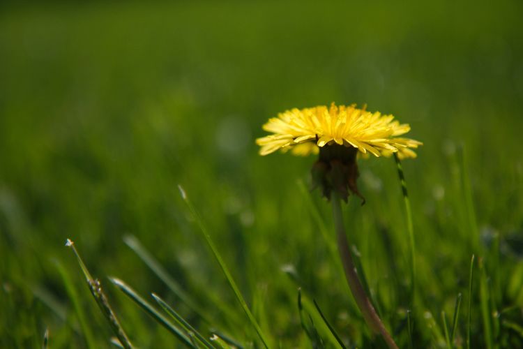 旧爱|在9月份,心有旧爱,情愫犹在,与前任续写前缘的四大星座