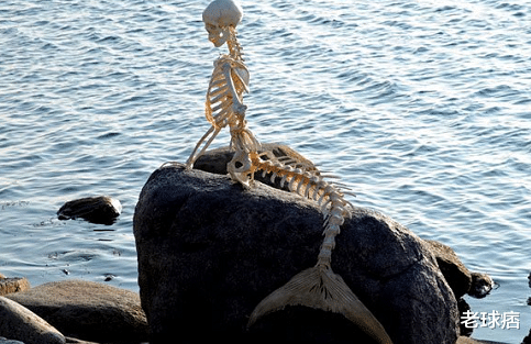 科学家▲美人鱼踪迹暴露？我国南海出现“人鱼”，或与海底文明有关