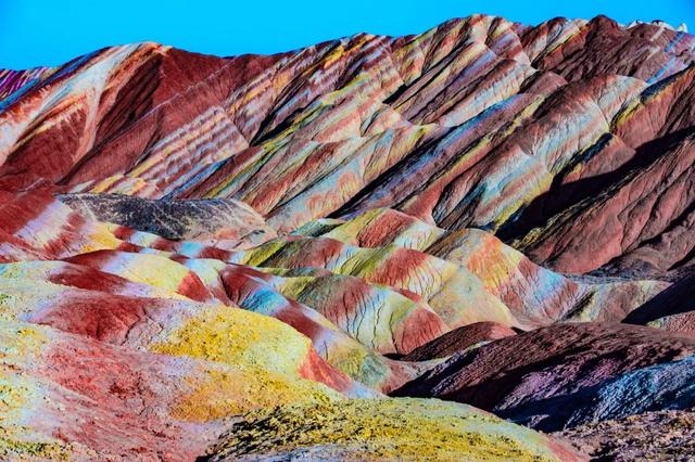 胡杨林|再过30天，全世界都要羡慕死中国了