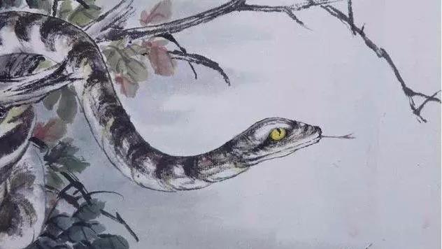 属蛇|三寸不烂之舌：生肖蛇在未来一周有转运机会，把握时机，不接不灵