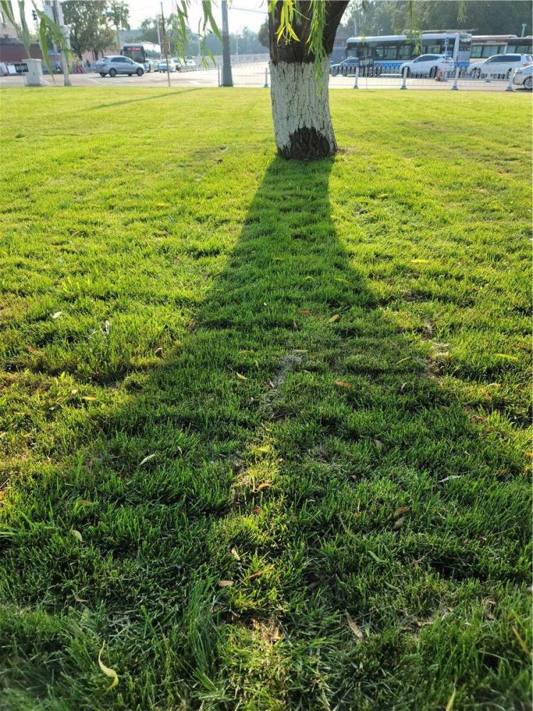 三星|三星Note20 Ultra评测：屏幕依旧顶级，手写笔值得一吹