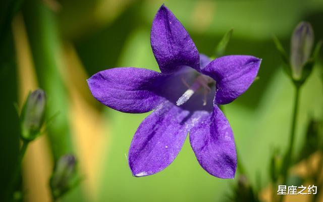 大驾光临：从5月份开始，处境越孤独，越容易出成绩的三大星座