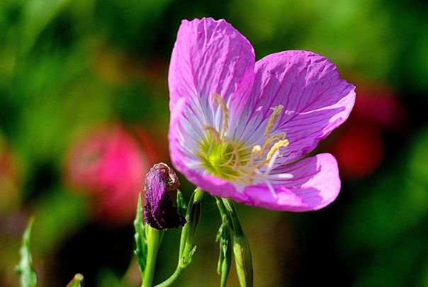 生肖|熬过8月“苦尽甘来”的4大生肖,发的都是大财,享的全是清福!