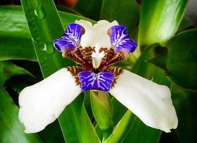 生肖|10月开始，事业如鱼得水，财气如日中天，顺风顺水的4大生肖