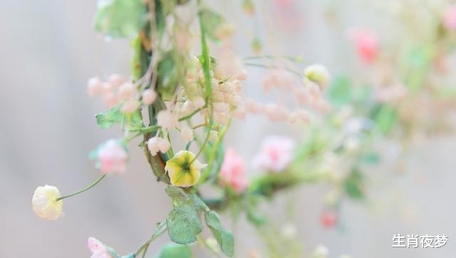 『』5月,旧情人忏悔,真诚回头,3生肖心肠变软,勇敢为情爱一场