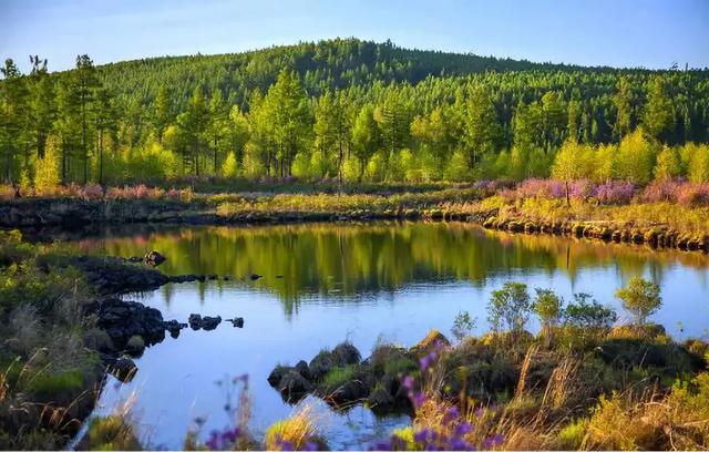 阿尔山▲中国北方\藏着\一个“瑞士”，去一次相当于环游一次欧洲！