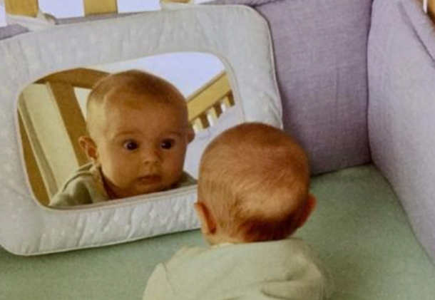 「科学家」为什么动物照镜子认不出自己，人类却可以？