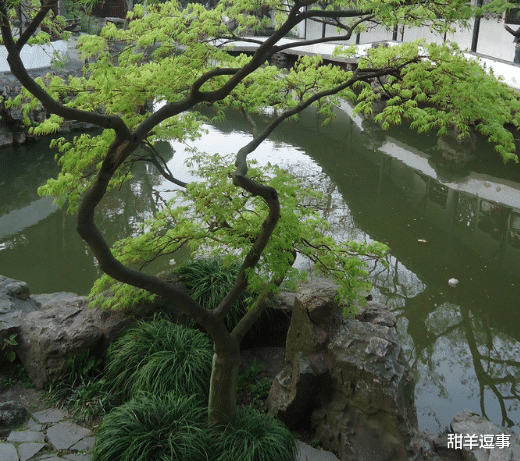 高考|明年或者后年报考的家长，应该提前做一些什么工作？