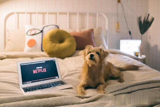 我住北上杭，这是我搬家的第7次