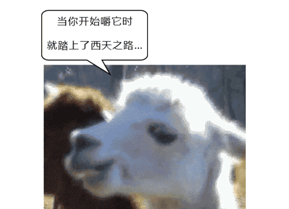 致癌物|每天1包，36岁男子要切舌保命！这果子被公认为强致癌物，却有数千万人爱吃