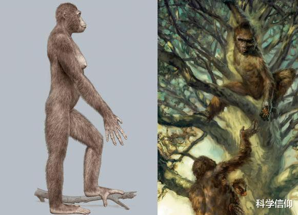 |为什么没有以人类为食的生物，未来会有吗？以前曾有过