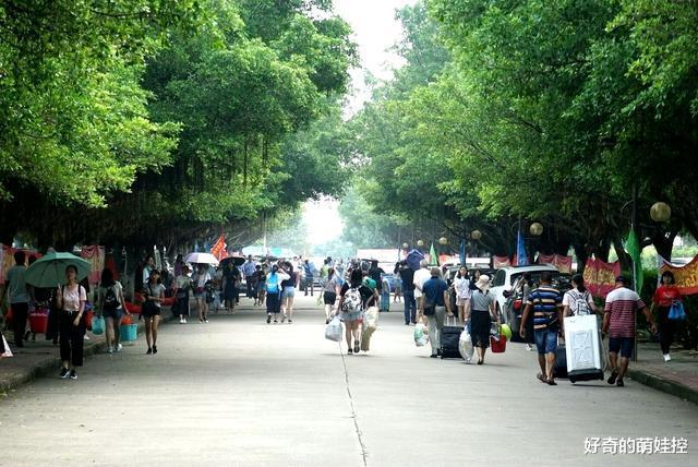 纽约大学|被学生称为“读不起”的4所大学,一年学费17万,考生:不敢想