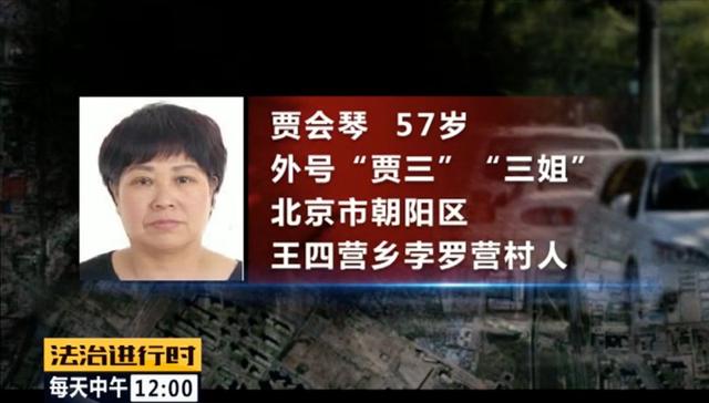 有期徒刑|北京朝阳58岁“女村霸” 欺行霸市14年，获刑15年