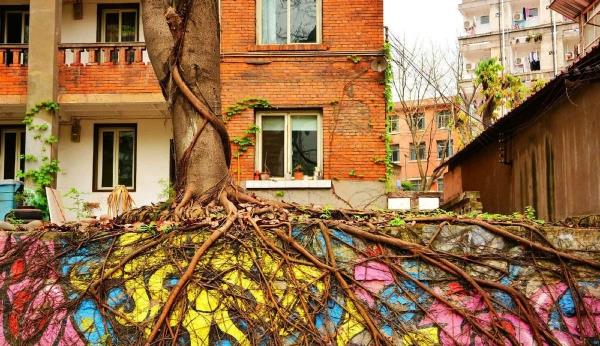 重庆▲西南地区最宜居的城市,物价很合理,名气比贵阳大,消费比成都低