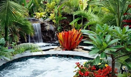 设计师|打造一个精美的小型家居庭院不难，设计师教你处理好“六大关系”