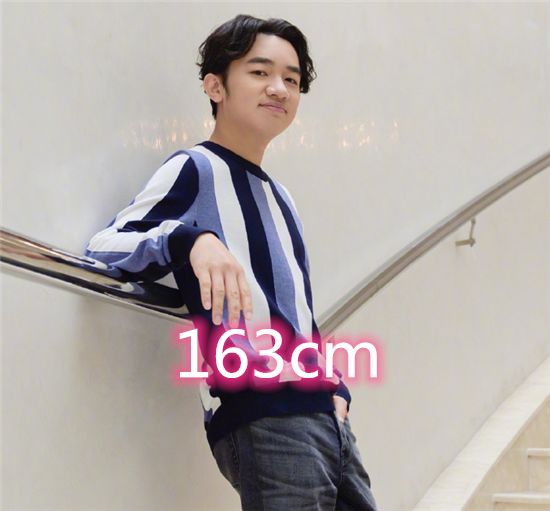 娱乐圈1米7以下的男星,李连杰没啥,可最后一位却只有1米55